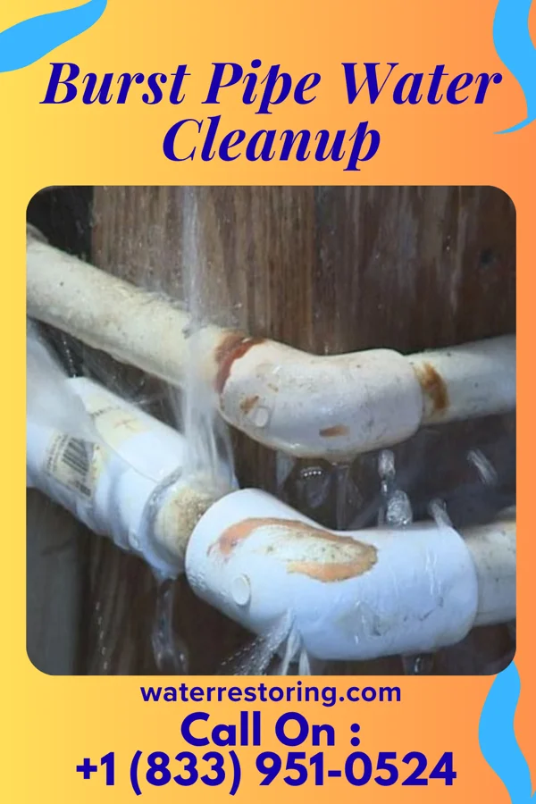 Burst Pipe Water Cleanup in Dunmore, PA