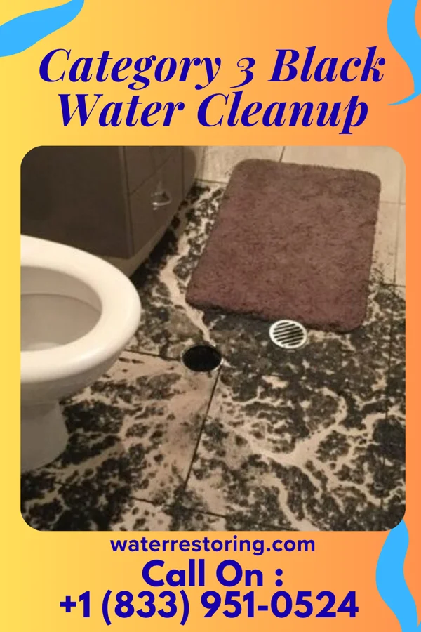 Category 3 Black Water Cleanup in Dunmore, PA