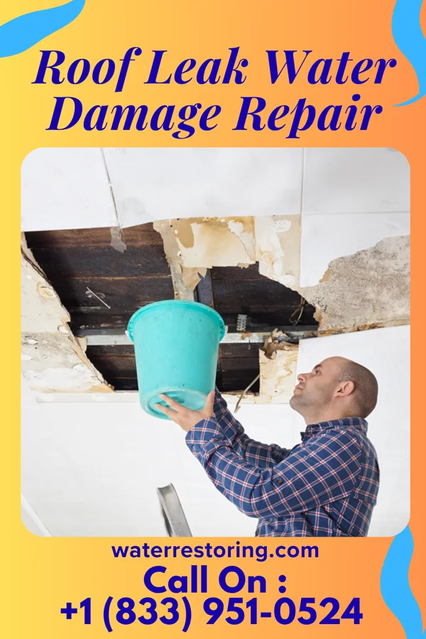 Roof Leak Water Damage Repair in Dunmore, PA