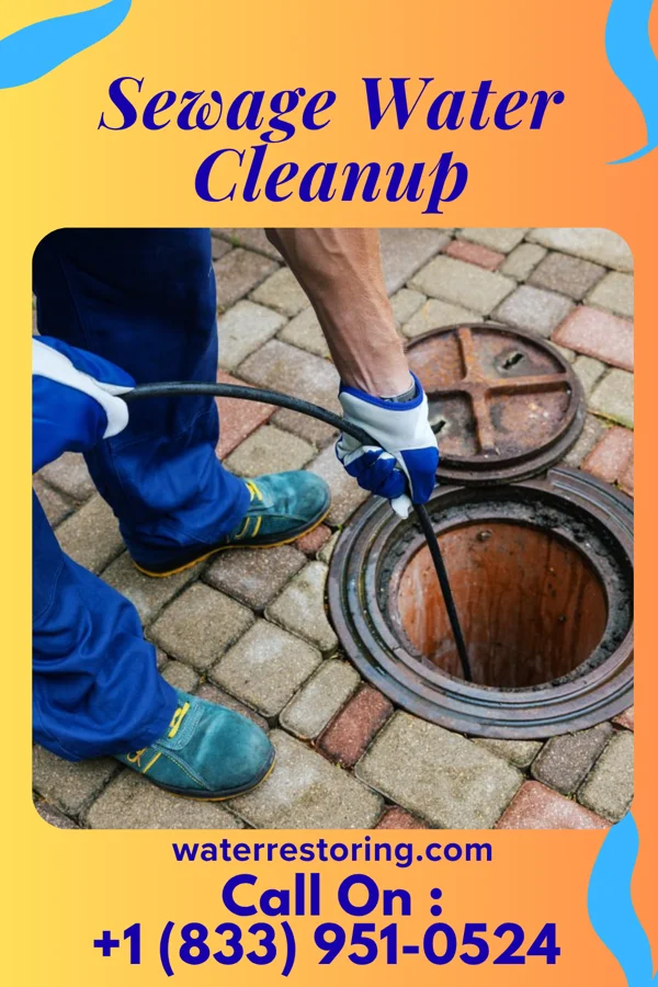 Sewage Water Cleanup in Dunmore, PA