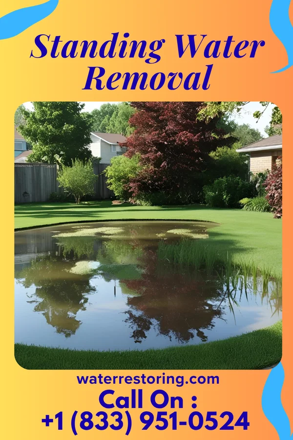 Standing Water Removal in Dunmore, PA
